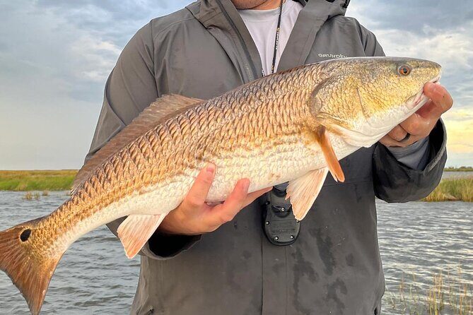 #1 Recommended Family Friendly Guided Fishing Charter Service - FAQ: Practical Questions About the Sarasota Guided Fishing Tour