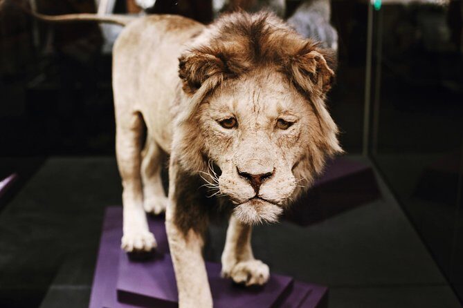 #1 Smithsonian Museum of Natural History | Satisfaction Guarantee - The Sum Up: Who Will Love This Tour?