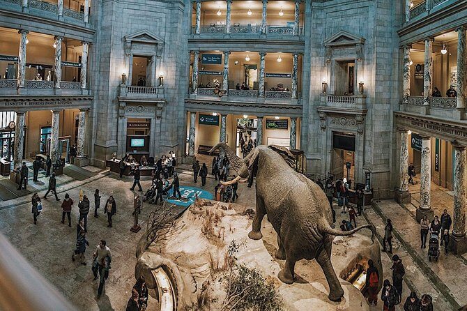 #1 Smithsonian Natural History + American History Museum Tour - What’s Included and What to Keep in Mind