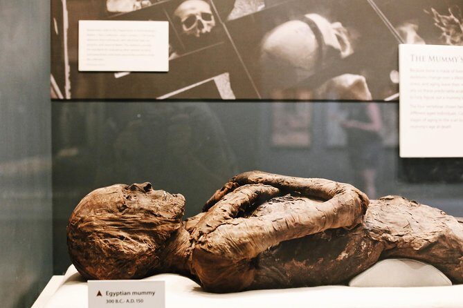 #1 Smithsonian Natural History + American History Museum Tour - FAQ