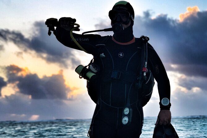 1 Tank Dive for certified divers - The Value of This Dive