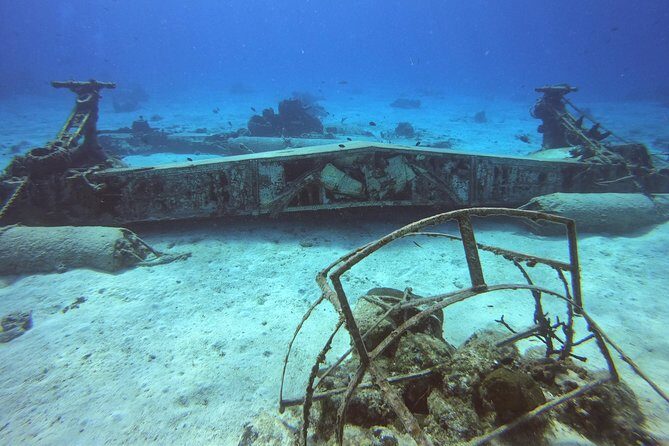 1 Tank Guided Shore Dive Including Equipment - An Authentic Underwater Experience Close to Shore