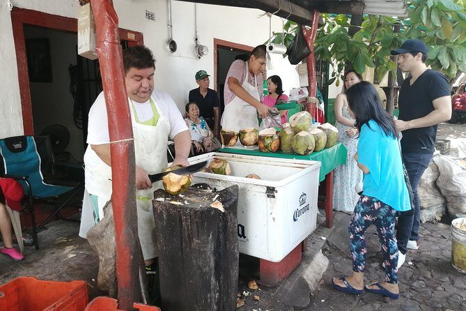 1 to 10 Passengers Vallarta Private City Tour - The Practicalities: Pricing, Duration, and Booking