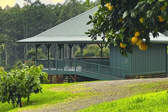 10 Bar Hawaiian Craft Chocolate Tasting Experience - The Sum Up: Who Should Sign Up?