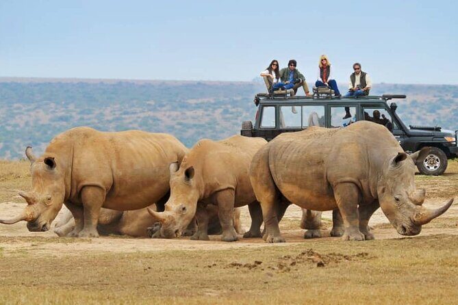 10-Day African Safari in Uganda from Kampala - Key Points