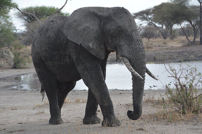 10-Day Amazing Comfort Camping Safari - A Detailed Look at the Itinerary