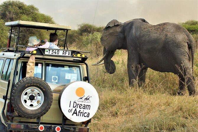 10-Day Amazing Comfort Camping Safari - Final Thoughts