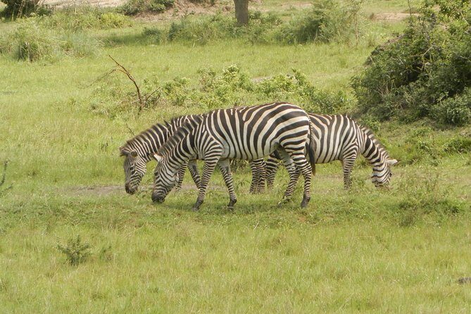 10 Day Best of Uganda Adventure Safari - Final Thoughts