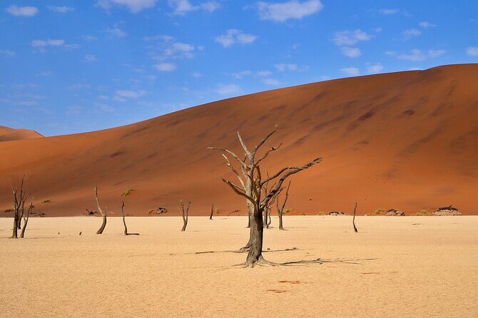 10 Day Discover Namibia Small Group Safari - Who Will Love This Tour?
