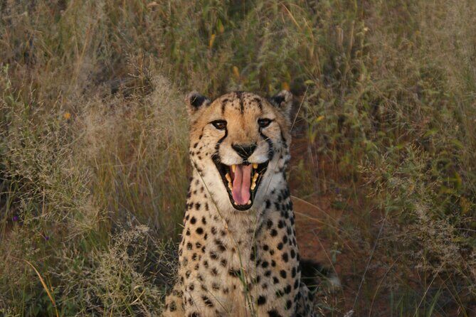 10 Day Discover Namibia Small Group Safari - Final Thoughts