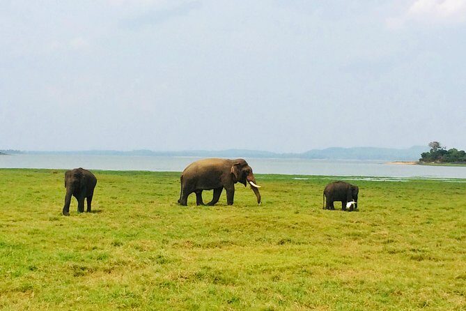 10 Day Explore Sri Lanka - The Practical Side: What You Need to Know
