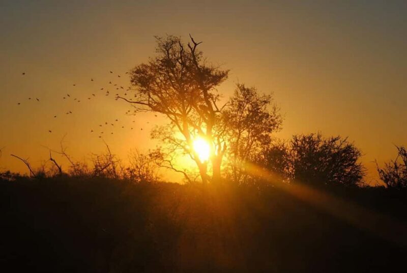 10 day Kruger and beyond photographic tour - Potential Considerations