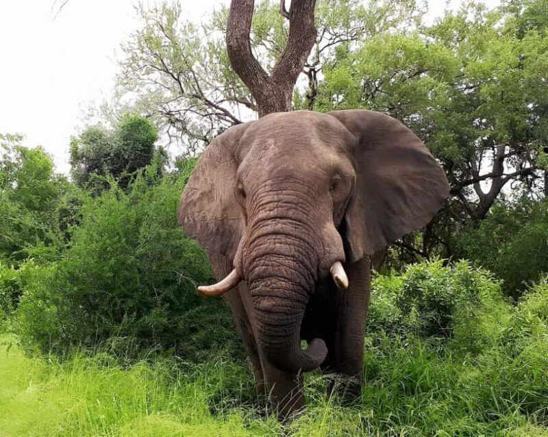 10 day Kruger and beyond photographic tour - FAQ
