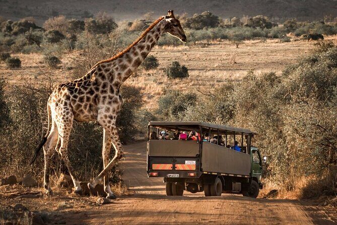 10-Day Private Tour Johannesburg to Cape Town - An In-Depth Tour Breakdown