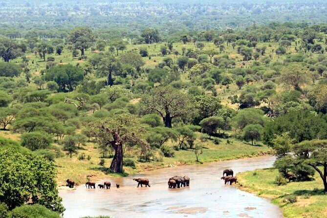 10-Day Private Tour Johannesburg to Cape Town - FAQ