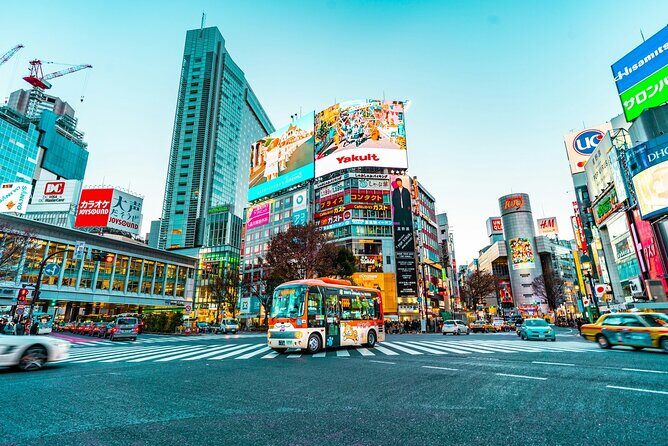 10-Day Private Tour of Tokyo, Hakone, Kyoto and Osaka - Key Points