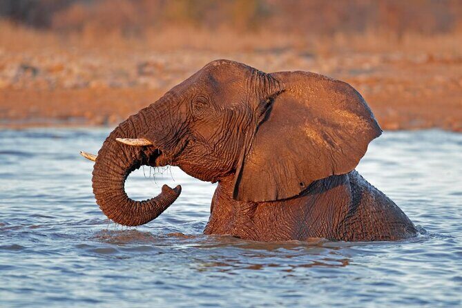 10-Day Private Yoga Adventure in Namibia - Key Points