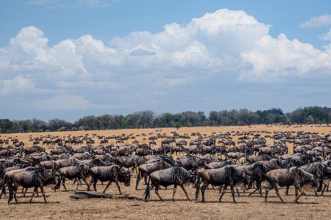 10-Day Serengeti Wildebeest Migration Safari from Arusha - The Itinerary in Detail