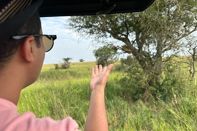 10 Day Uganda Memorable Lifetime Gorilla and Chimpanzee Safari - A Deep Dive into the 10-Day Ugandan Safari: What You Can Expect