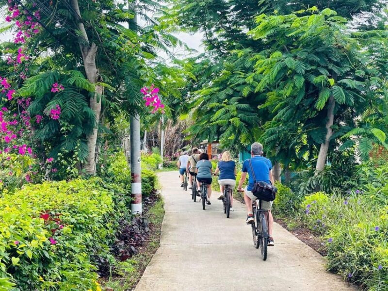 10-Day Vietnam Itinerary: Discover Vietnams top attractions - Who Will Enjoy This Tour?