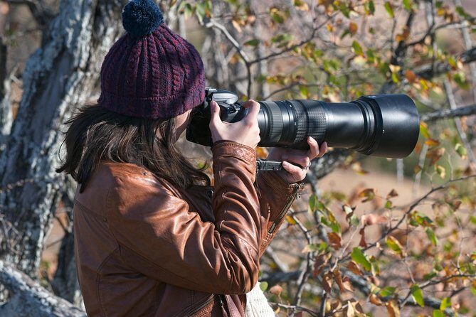 10 Day Wildlife Photographic Safari - Kruger National Park - B1 Photo Safaris - Reviews from Past Travelers: Authentic Perspectives