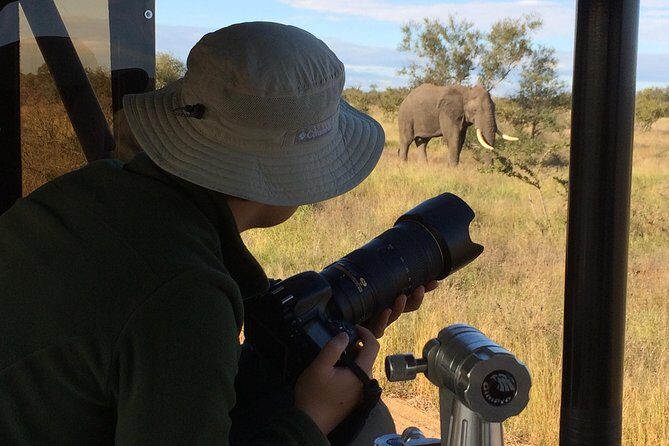 10 Day Wildlife Photographic Safari - Kruger National Park - B1 Photo Safaris - Who Should Consider This Safari?