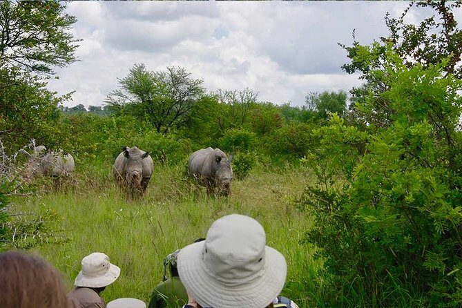10 Day Zimbabwe and Chobe NP Tour - Key Points