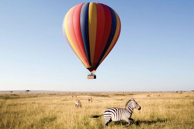 10 Days 8 Nights Tanzania Unforgettable Comfort Camping Safari - Days 4 to 6: The Serengeti – Heart of the Migration