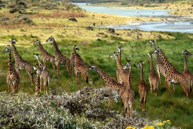 10 Days 8 Nights Tanzania Unforgettable Comfort Camping Safari - Day 9: Cultural and Nature Exploration in Arusha