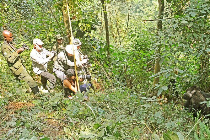 10 Days Affordable Gorilla Trekking Holiday - FAQs