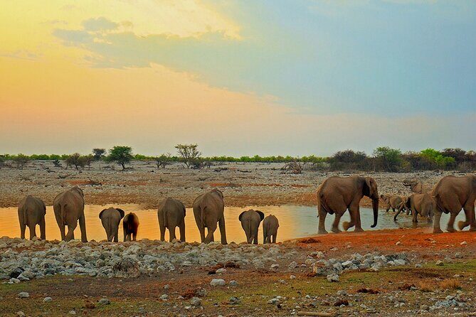 10 DAYS BEAUTY OF NAMIBIA | Guided Lodge - Walvis Bay’s Marine and Desert Marvels