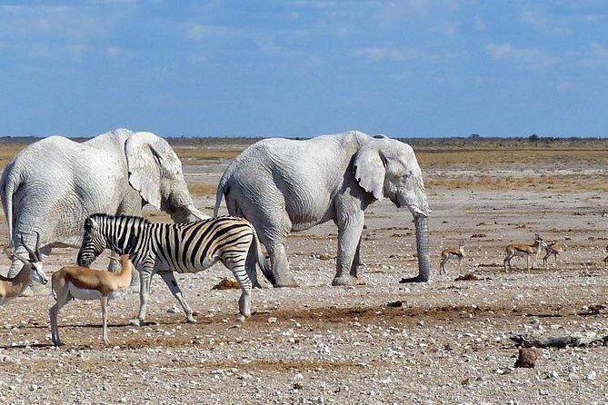 10 DAYS BEAUTY OF NAMIBIA | Guided Lodge - Practicalities and Value