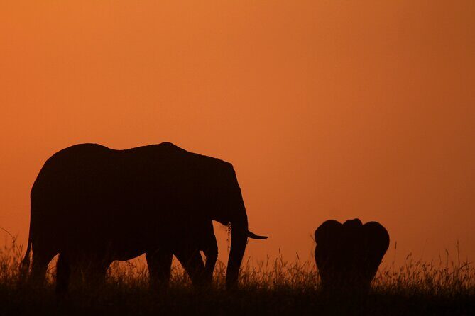 10 -Days Best of Kenya and Tanzania Classic Safari - FAQs