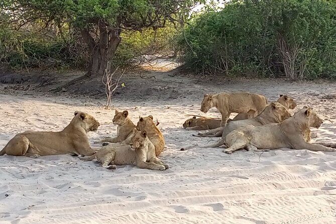 10 Days Botswana Mobile Tented Camping Tour - FAQ