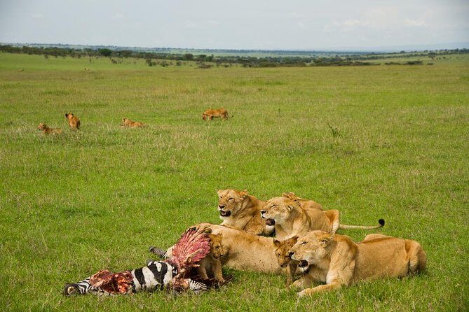 10 days family safari Tanzania - What Sets This Safari Apart?