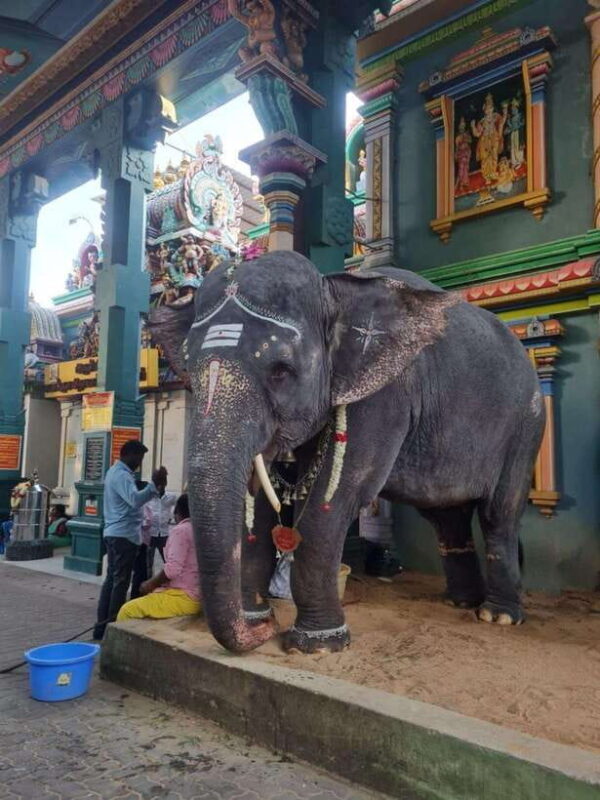 10 Days Private Car and Driver Tour of Tamilnadu & Kerala !! - Key Points
