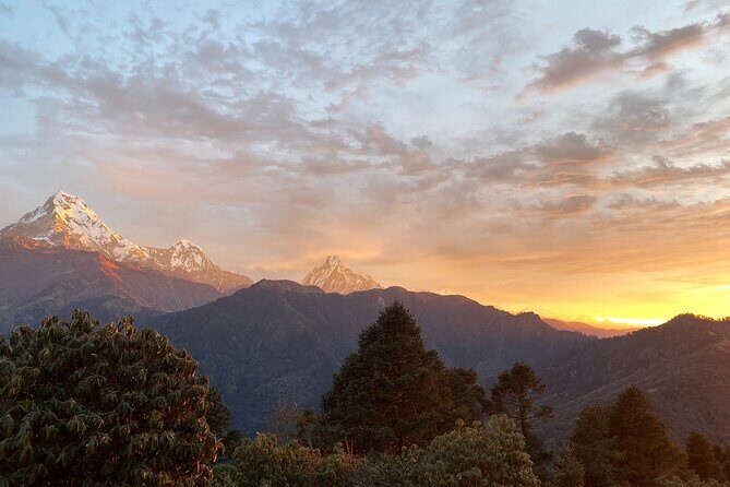 10 Days Private Guided Annapurna Basecamp Trek via Poon Hill - What Travelers Love (and What They Don’t)