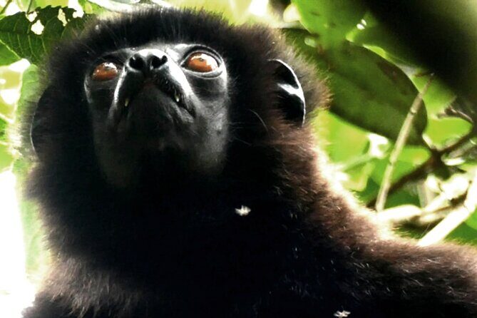 10 Days Private Madagascar Tour - Day 1: Stepping into Madagascar’s Past at Rova - Le Palais de la Reine
