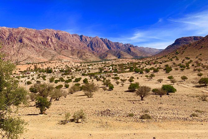10 Days private Morocco tour from Marrakech - What Travelers Are Saying