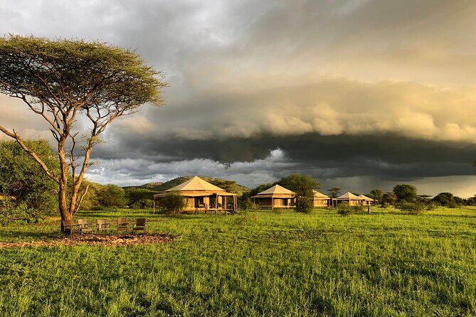 10 Days Tanzania Safari Private Tour - Who Will Benefit Most?