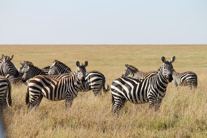 10 Days Tanzania Safari Private Tour - Final Thoughts