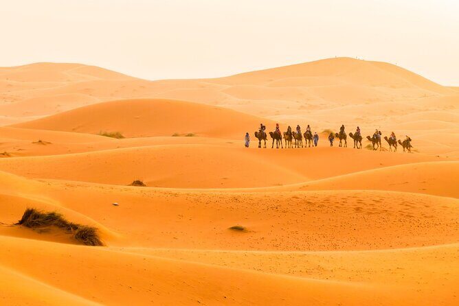 10 Days Tour from Casablanca to Marrakech via the Sahara Desert - FAQ