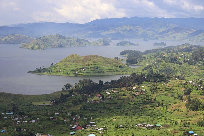10-Days Uganda Gorillas and Chimpanzee Wildlife Discovery - Pricing and Value