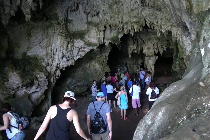 10-Hour Guided Tour of Samana and Bacardi Island Los Haitises - Key Points