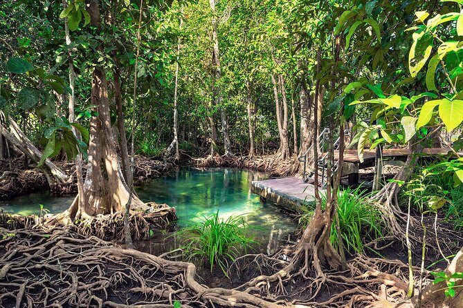 10-Hour Guided Tour of Samana and Bacardi Island Los Haitises - Value for Money
