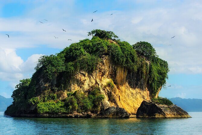 10-Hour Guided Tour of Samana and Bacardi Island Los Haitises - Authentic Experiences and What You’ll Take Away