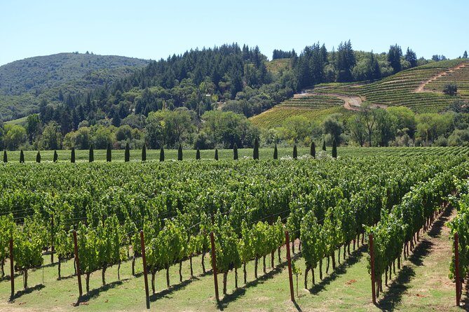10-Hour Napa Valley Wine Tasting Tour Customized Private Tours - Key Points
