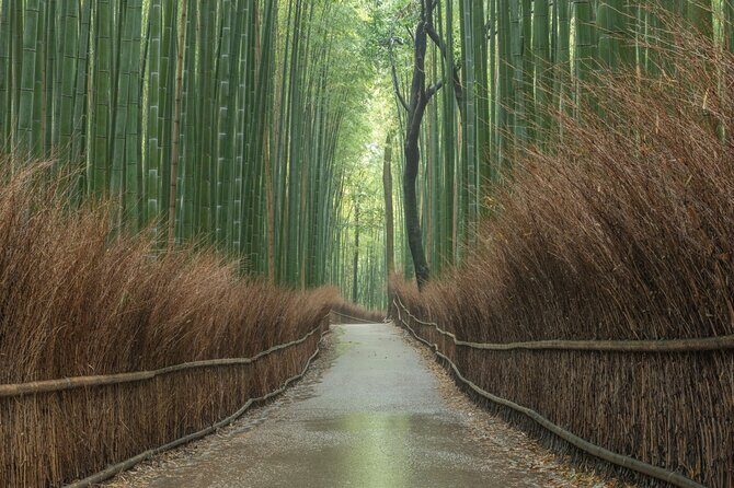10 Must-see Spots in Kyoto One Day Private Tour (up to 7 people) - Authentic Experiences & Practical Tips