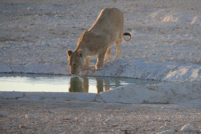 10 Namibia Adventures - An In-Depth Look at the Namibia Adventure