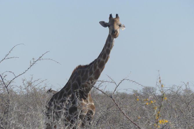 10 Namibia Adventures - Final Thoughts: Who Will Love This Tour?